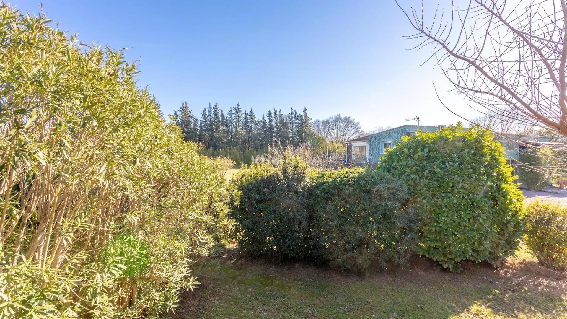Joli Chalet En Bois Roquebrune-sur-Argens France