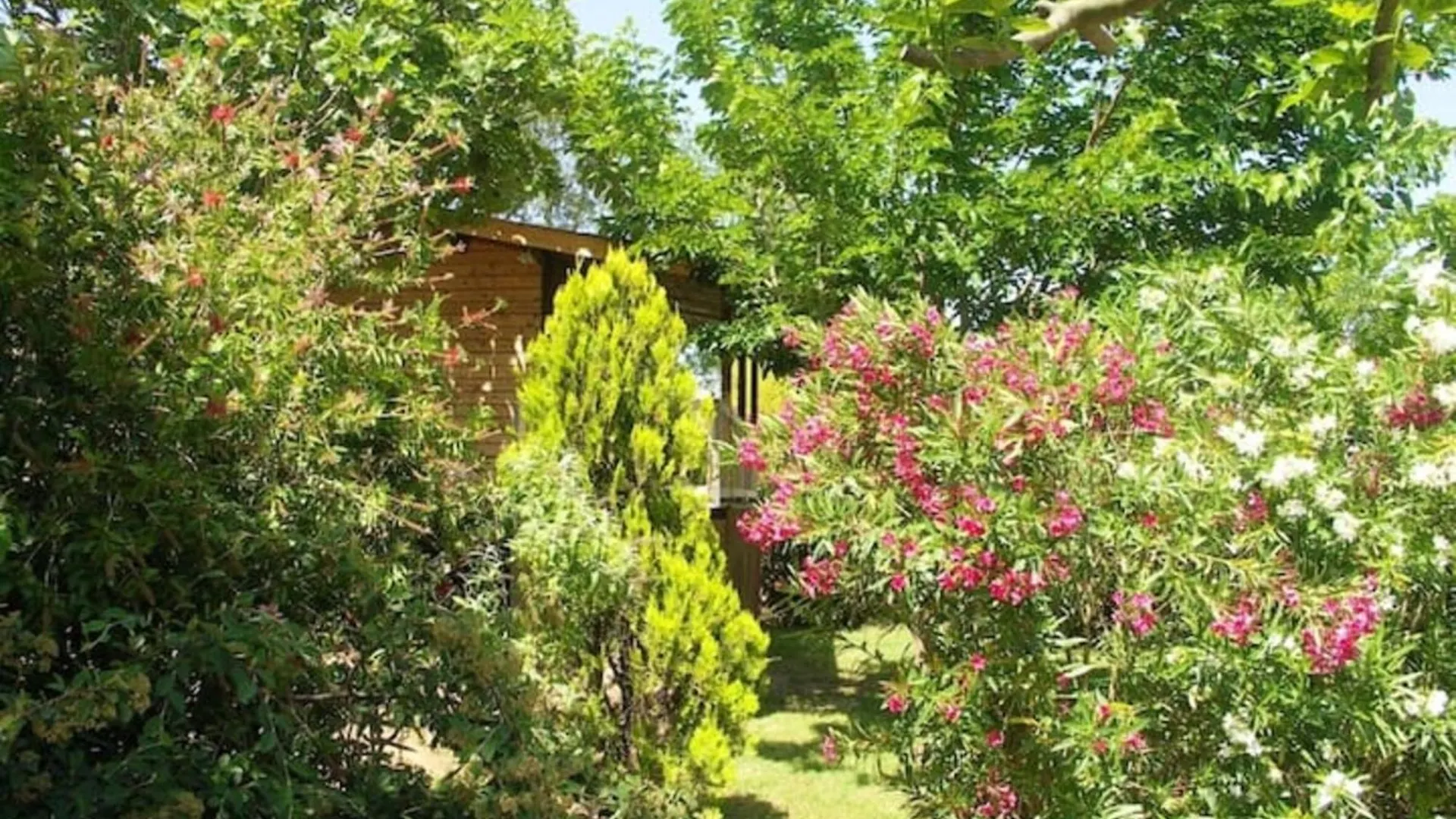 Joli Chalet En Bois Roquebrune-sur-Argens France